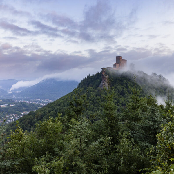 Burg Trifels auf dem Berg